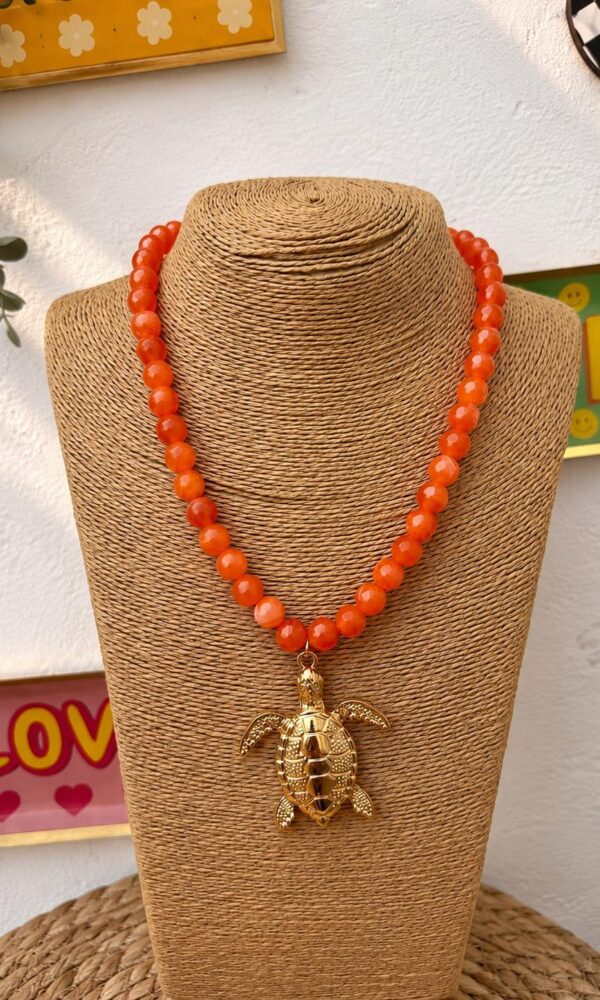 Collar Tortuga.